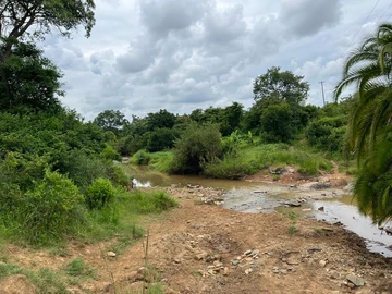 Farm & Agricultural Land