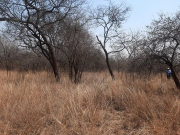 Farm & Agricultural Land