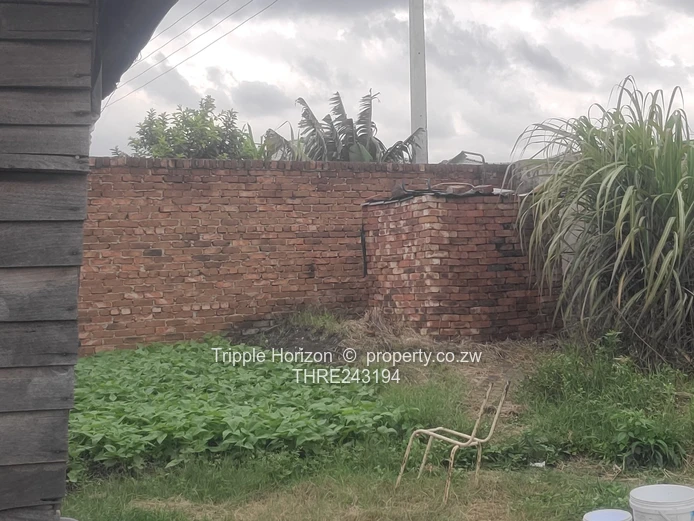 Great investment opportunity 