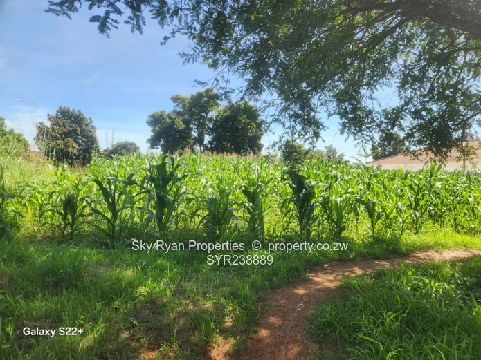 Belvedere Residential Stand  For Sale