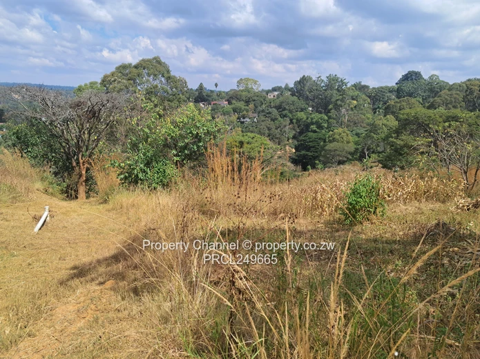 Vast piece of land for sale 