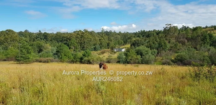 Expansive Farm in Airdale, Nyanga