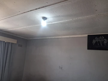Flat & Apartment