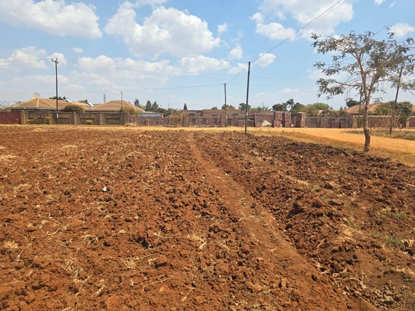 Stands & Residential Land