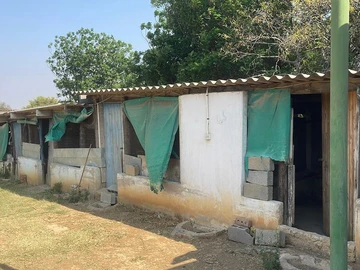 Farm & Agricultural Land