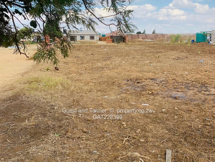 Snake Park Stand for sale