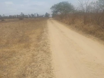 Farm & Agricultural Land