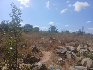 Commercial & Industrial Land