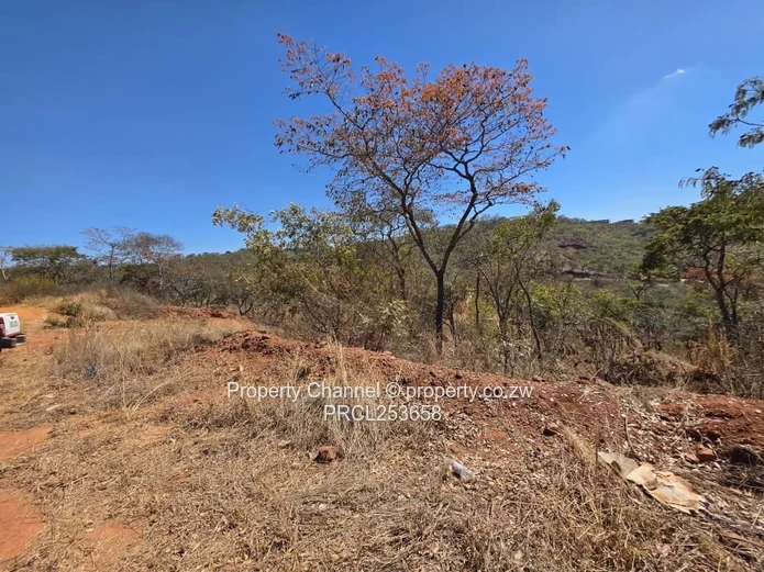 Stand For Sale In Gletwin (Police Area) 