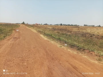 Farm & Agricultural Land