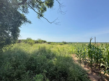 Farm & Agricultural Land