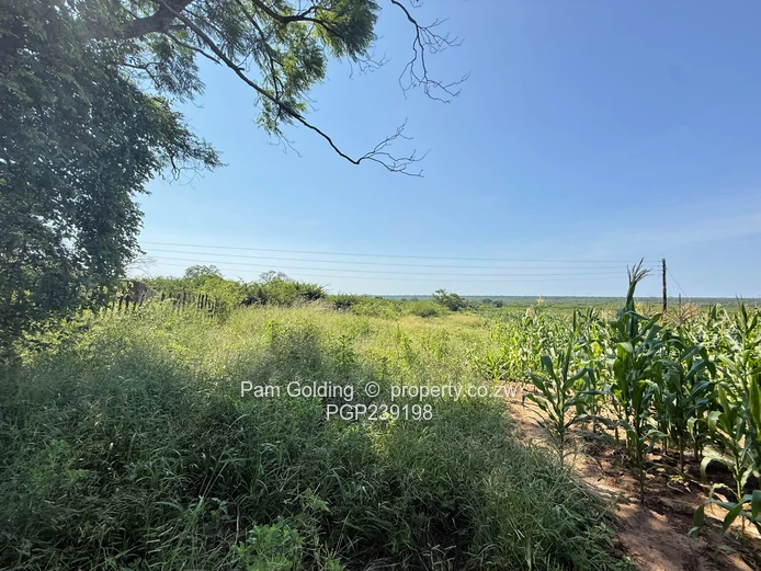 Nyamandlovu 1026 farm for sale