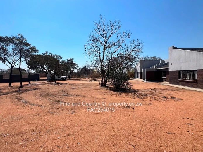 Prime Plot on the Main Road