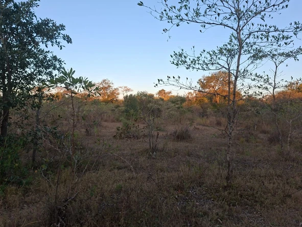 Farm & Agricultural Land