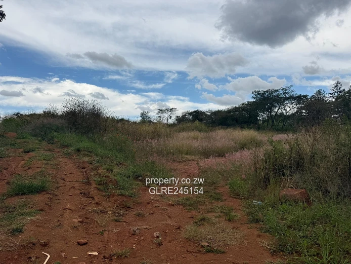 1500 sqm Quinnington Stand — Tarred Road, Sewered & Subdivision-Ready