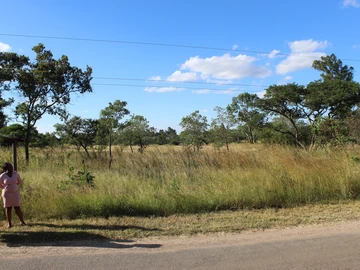 Stands & Residential Land