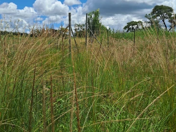 Farm & Agricultural Land