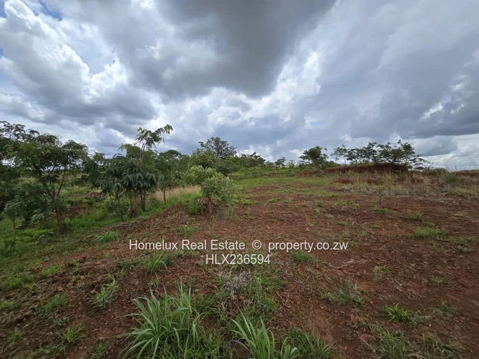 Strategic Heavy Industrial Stand 