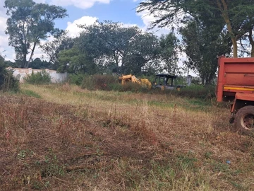 Land