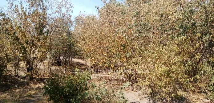 10ha Land Hwange Town Along Victoria Falls Road