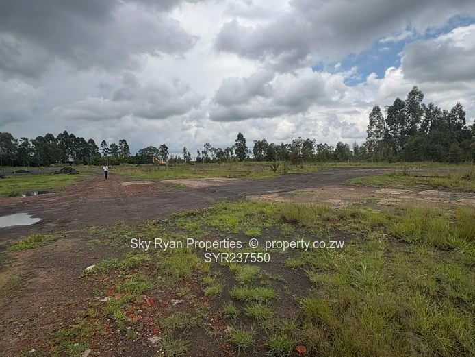 Mount Hampden Industrial stands for sale 