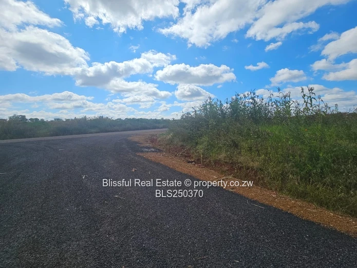 Nyeredzi Ridge Stand for sale