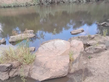 Farm & Agricultural Land