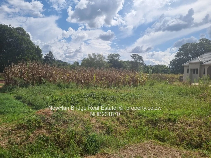 Umwinsdale Stands For Sell