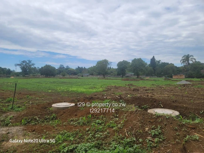 Marlborough Adylinn stands for sale