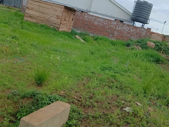 Stands & Residential Land