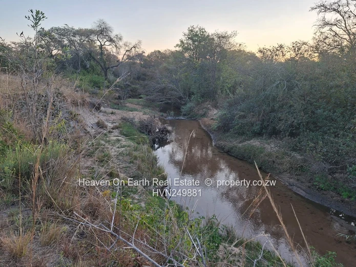 Plots with a river