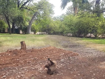 Land