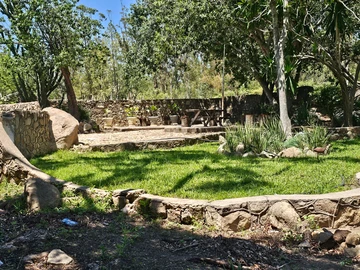 Farm & Agricultural Land