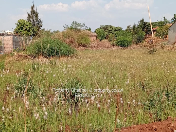 800m² Stand in Hatcliffe