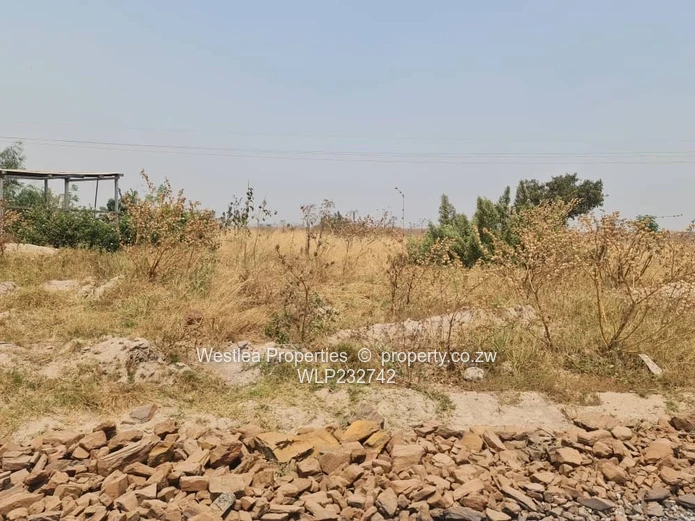 An opportunity not to miss