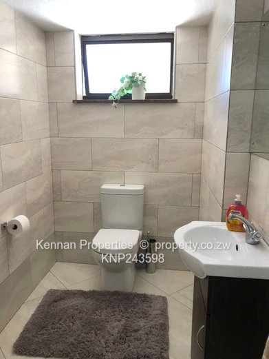 Recently upgraded furnished house in Greystone Park