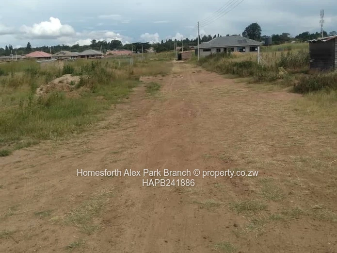 New Marimba Stand On Sale