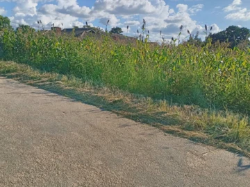 Prime Riverside Park Land 2040 m² in Ruwa's Scenic Setting