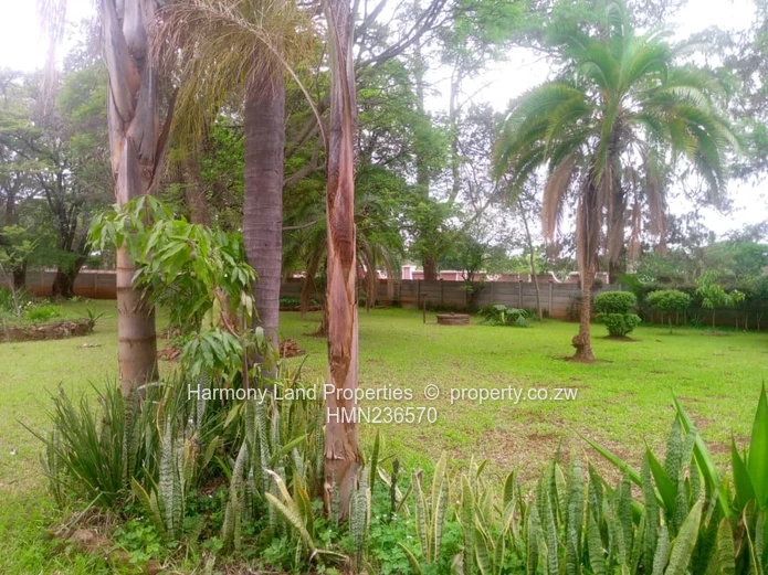 Mt Pleasant- 4 Bedroomed House To Let