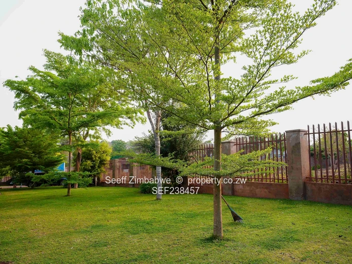 Modern Double-Storey 6-Bed Furnished Home — Shawasha Hills