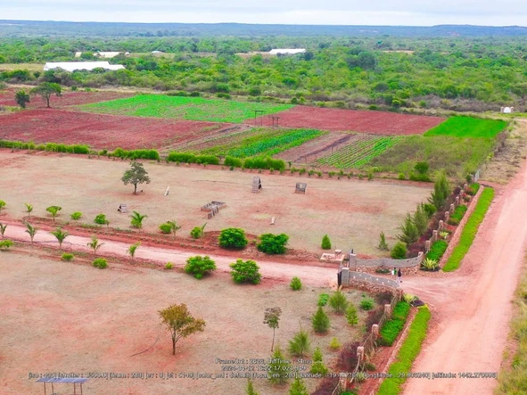Farm & Agricultural Land