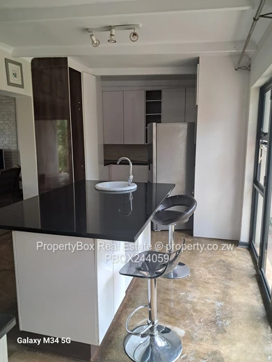 Borrowdale Fully furnished house for rental!