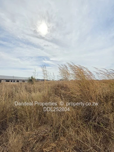 A choice of 3 stands. 2000 sqm Pomona Stand on Paved Road with Drainage