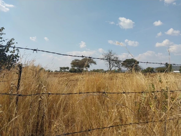 Farm & Agricultural Land