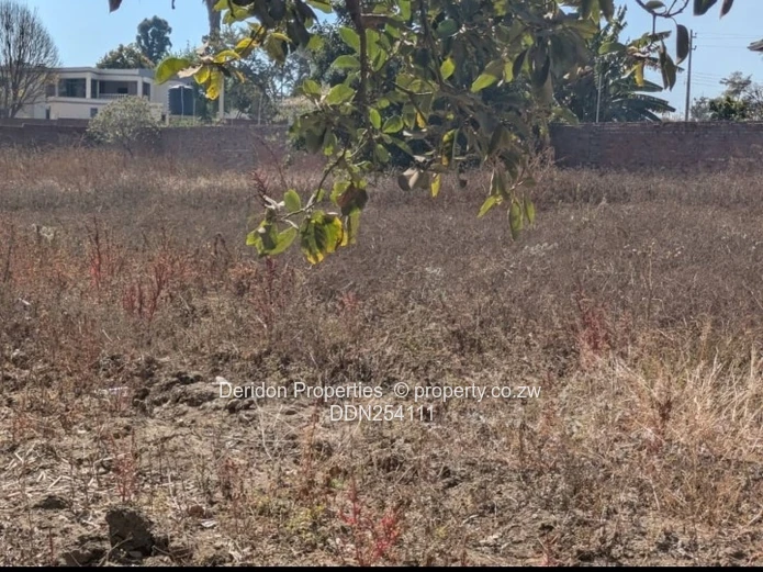 Leafy 4000 m² Residential Stand — Borrowdale, Harare North