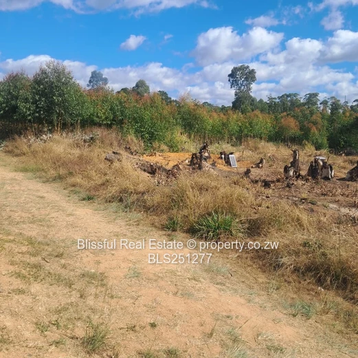 PRIME 2000m² SERVICE STATION STAND - HARARE-MUTARE Highway 
