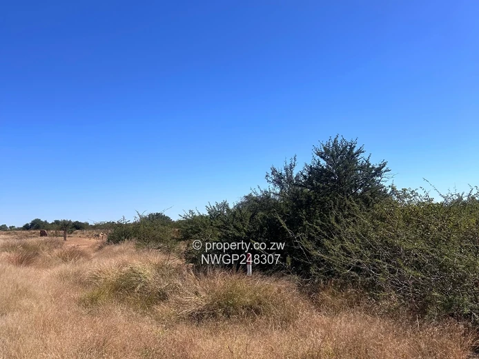 Build Your Dream Home in King's City's Prestigious Low-Density Community
