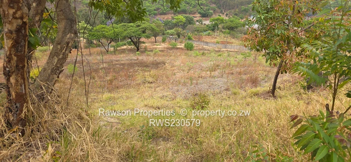 Superb opportunity in Philadelphia 