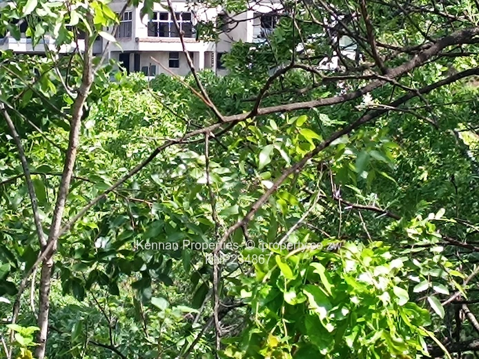  Prime 5,680sqm Stand with Exceptional Views