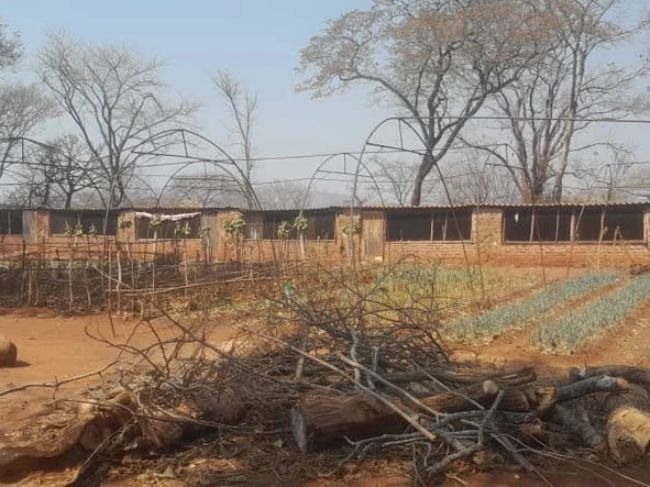 Farm & Agricultural Land